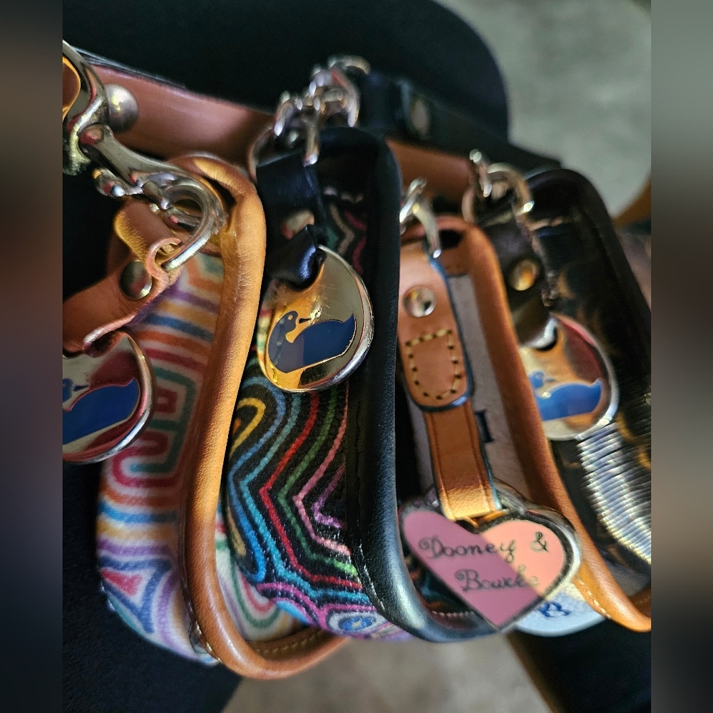 Dooney & Bourke Multicolor Wristlet - Picture 10 of 14